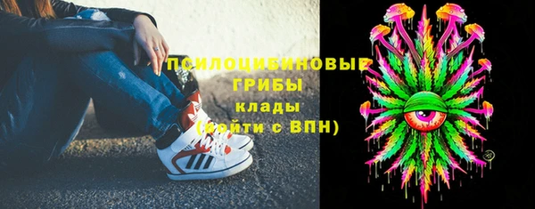 метадон Алексин